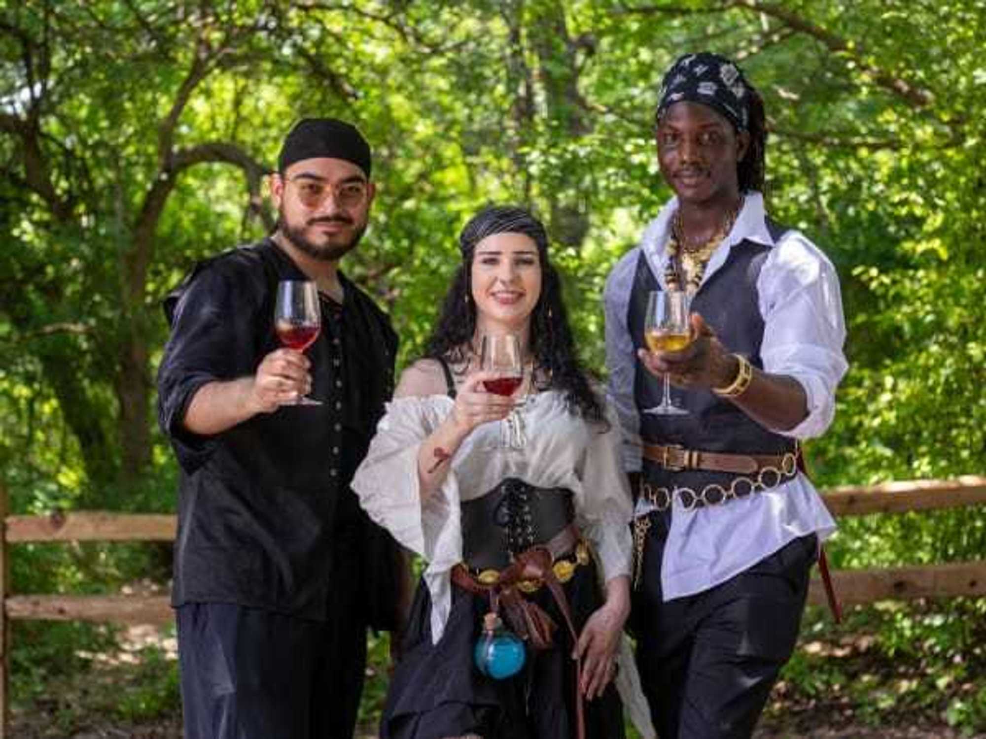 The Texas Mead & Music Festival
