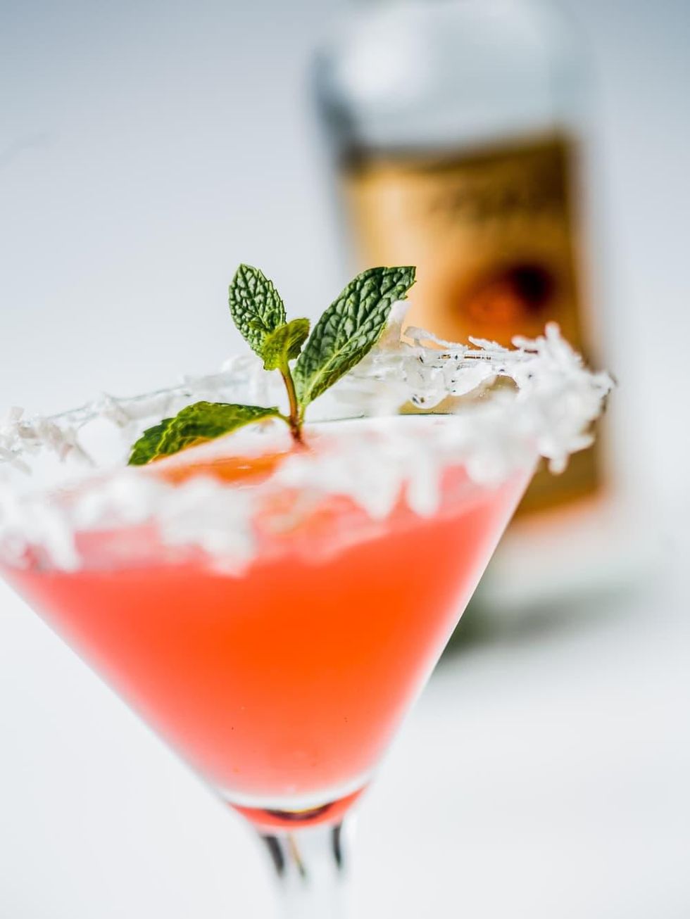 Twigs Santa Claus-Mopolitan