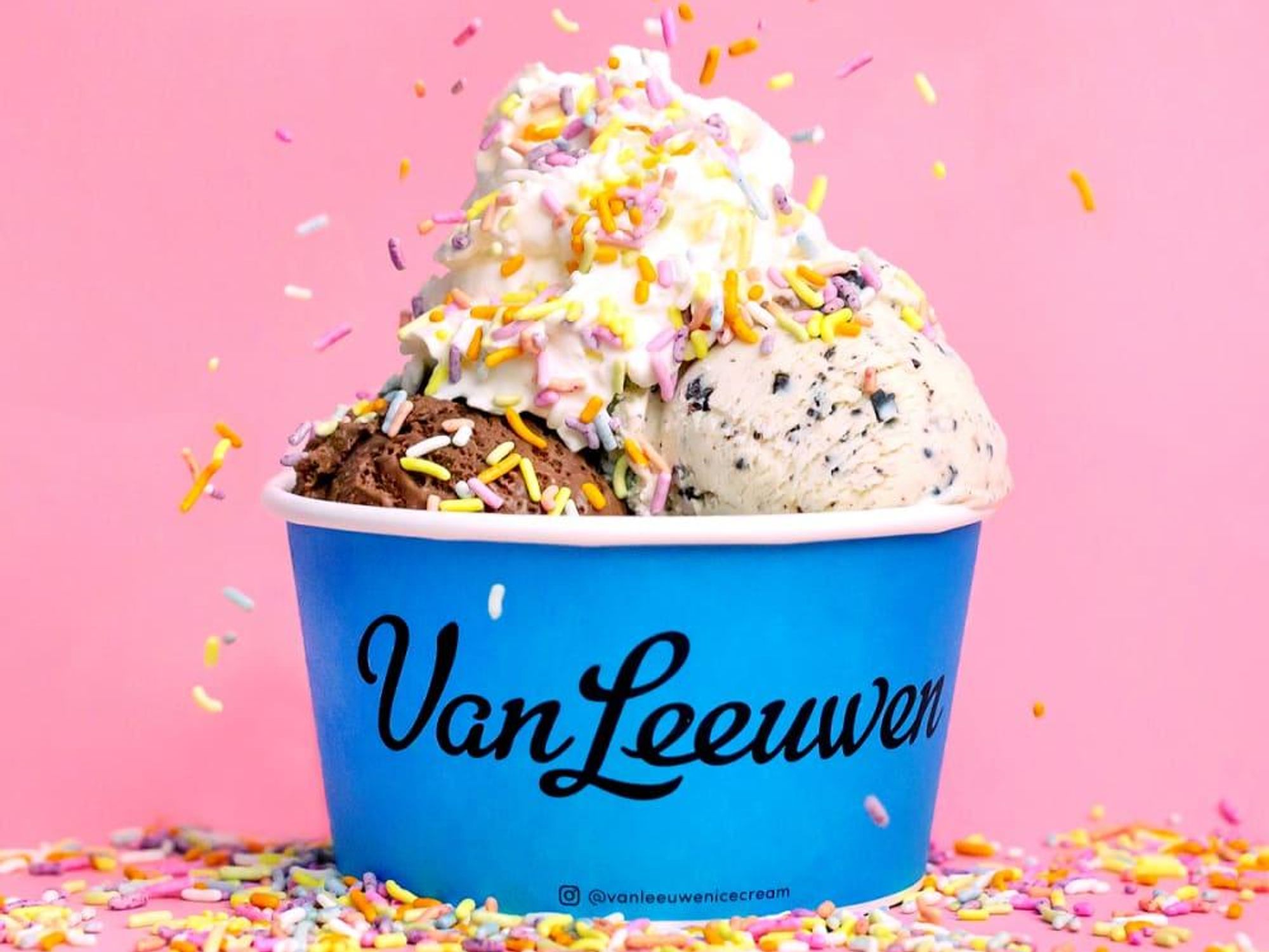 van leeuwen ice cream