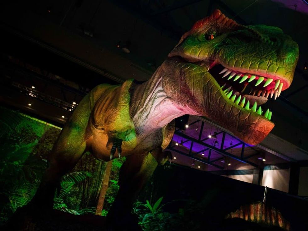 VStar Entertainment presents Discover the Dinosaurs Unleashed