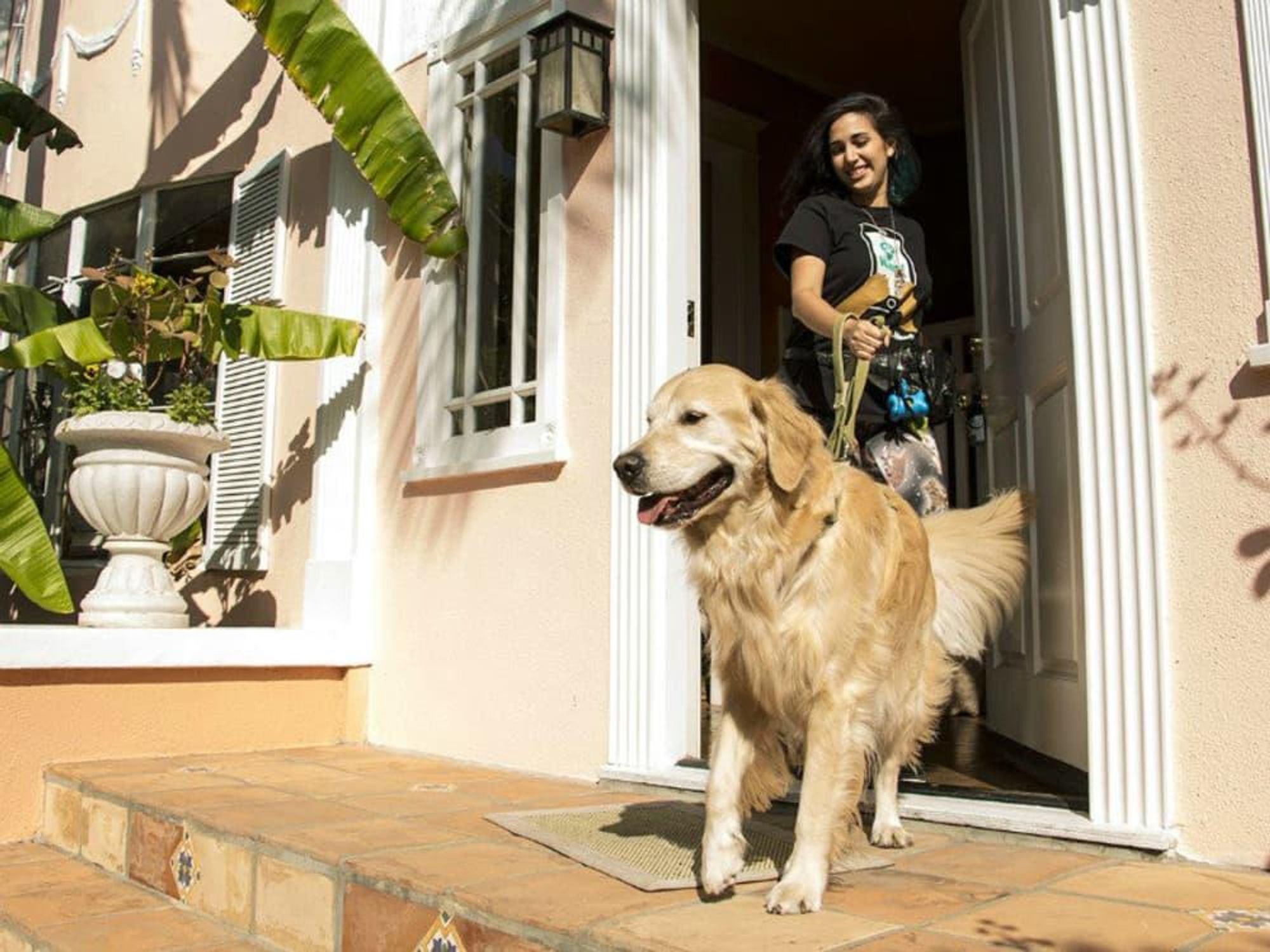 Wag! dog walking service