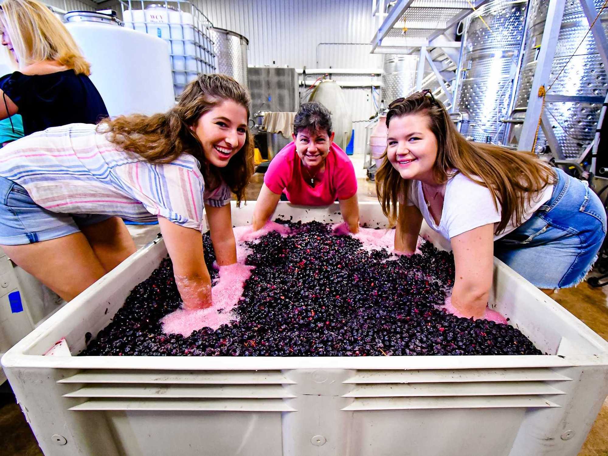 Wine crushing