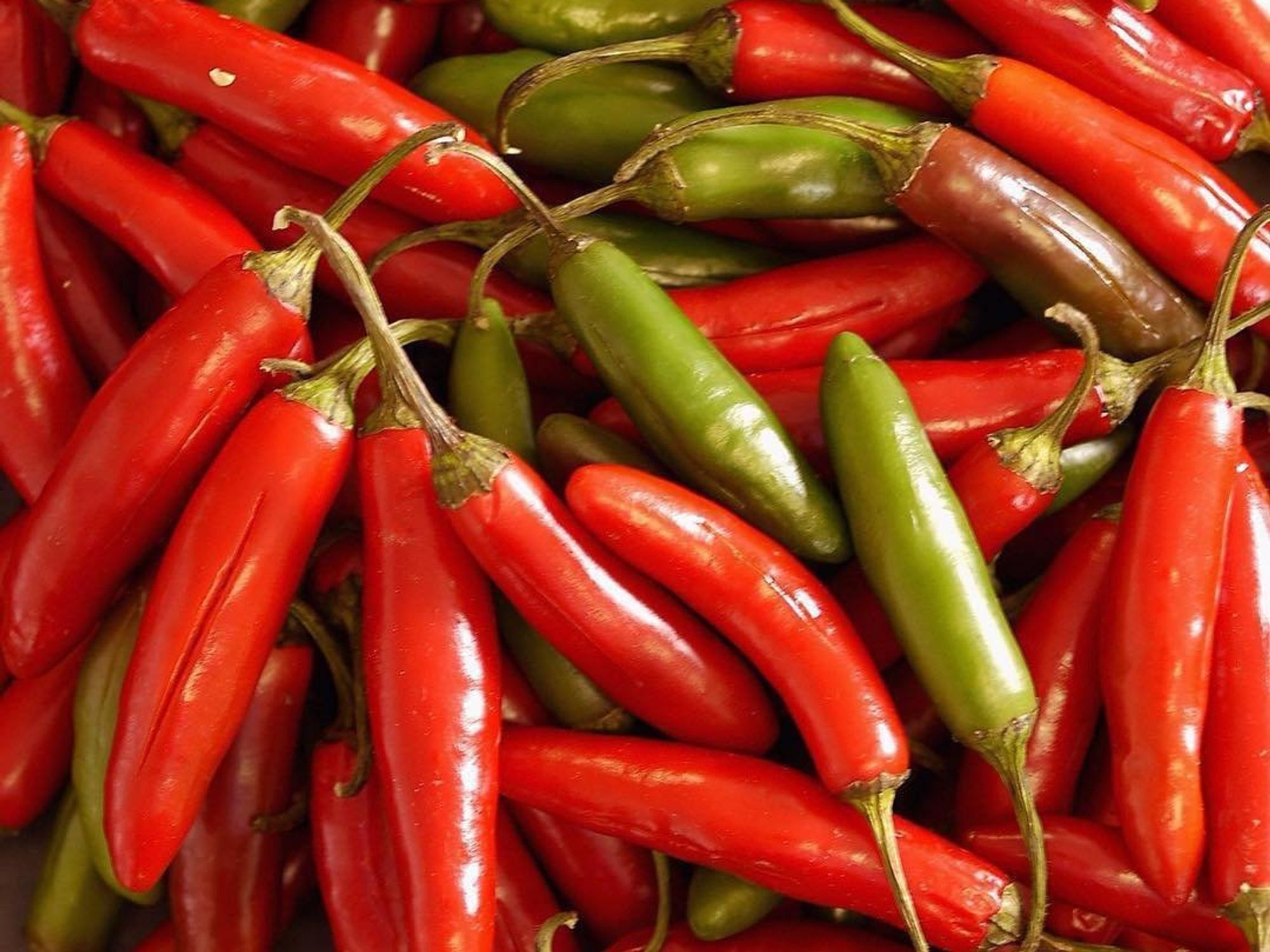 Zestfest red chile peppers